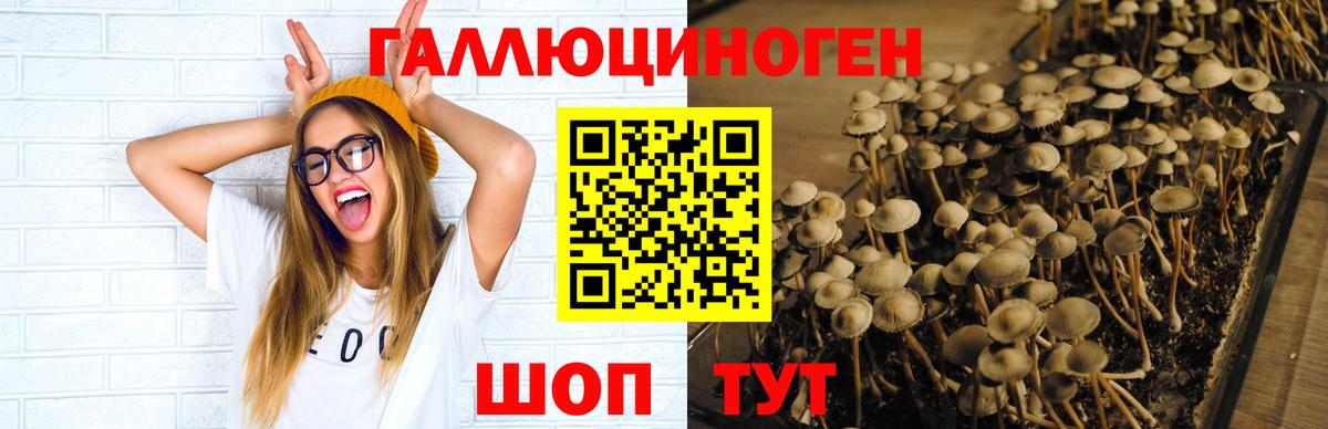 Галлюциногенные грибы MAGIC MUSHROOMS Кинель